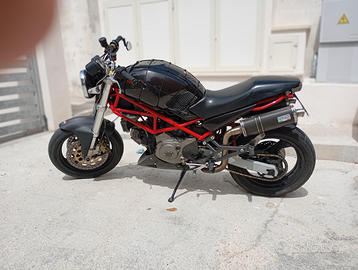 Ducati monster