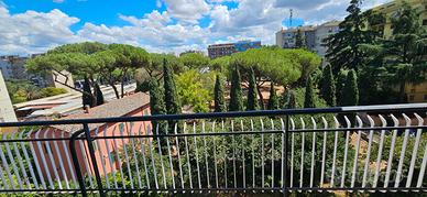 Eur laurentina (via fontanellato)