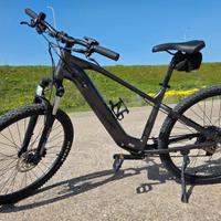 Bicicletta elettrica da trekking (E-Bike)