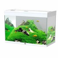 Acquario askoll emotion 150lt