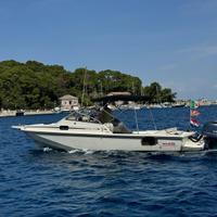 Boston whaler 25 Revenge Wd