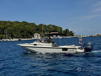 Boston whaler 25 Revenge Wd