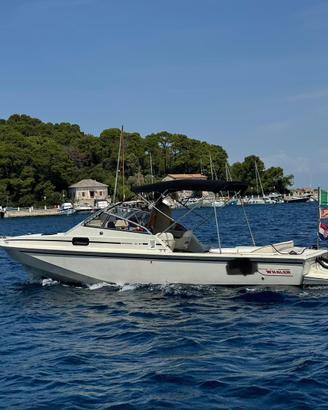 Boston whaler 25 Revenge Wd