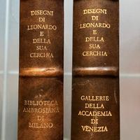 DISEGNI DI LEONARDO E DELLA SUA CERCHIA