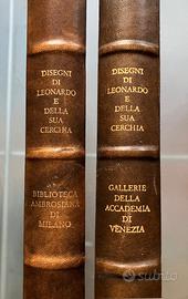 DISEGNI DI LEONARDO E DELLA SUA CERCHIA