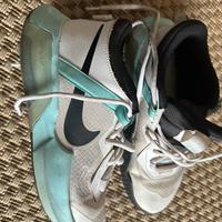 Nike air zoom basket
