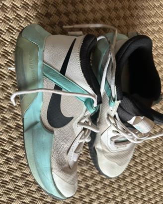 Nike air zoom basket