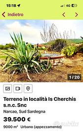 Terreno con ULIVETTO e POZZO ACQUA Inesauribile