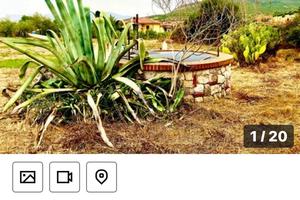 Terreno con ULIVETTO e POZZO ACQUA Inesauribile