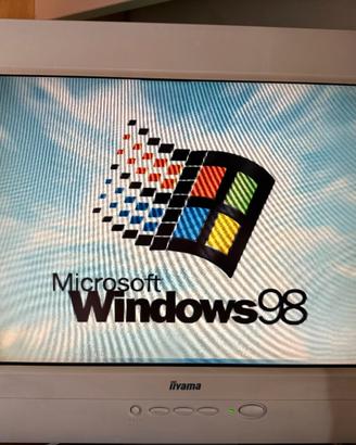 Monitor LCD Vintage Iiyama BX3814UT 15" + Cavo VGA