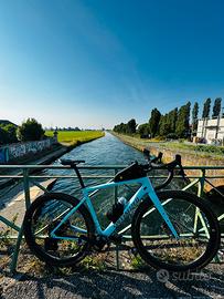 Specialized Diverge Expert Carbon tg 56