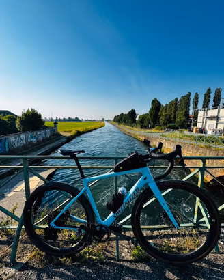 Specialized Diverge Expert Carbon tg 56