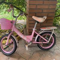 Bicicletta bambina 5 anni