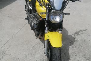 Honda hornet