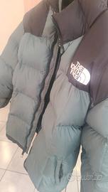 giubbotto the northe face 