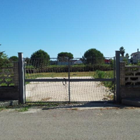 Terreno 1000mq a Nettuno