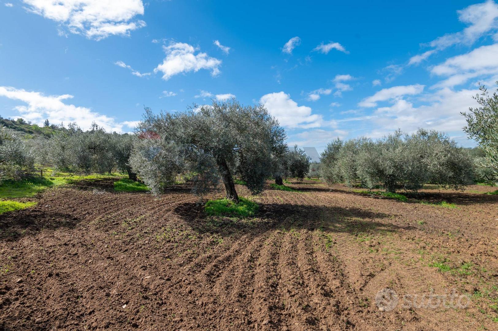 Terreno - Caltagirone - Vista 3
