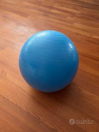 Fitball 65cm blu