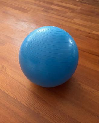 Fitball 65cm blu