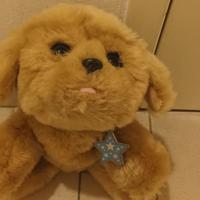 Cagnolino Little Live Pets che apre gli occhi