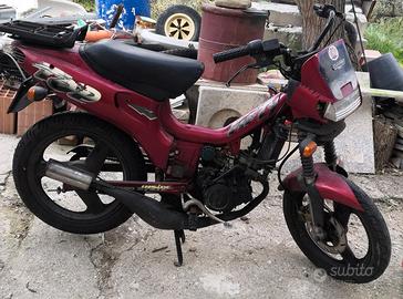 Malaguti fifty top 