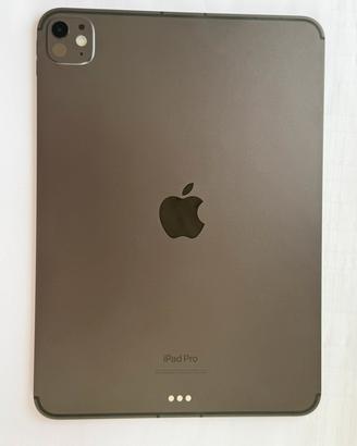 iPad Pro 11” M4 Wi-Fi+5G Nanotext+Apple Pencil Pro