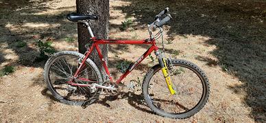 Telaio bicicletta Giant acciaio