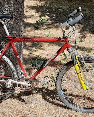 Telaio bicicletta Giant acciaio