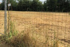 Vendita terreno agricolo