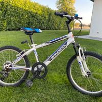 Bici Bandiziol 20 pollici