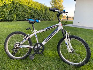 Bici Bandiziol 20 pollici