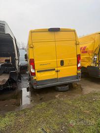 Portellone posteriore Ducato 2020