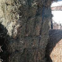 Ballette I taglio su bancali 