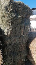 Ballette I taglio su bancali 