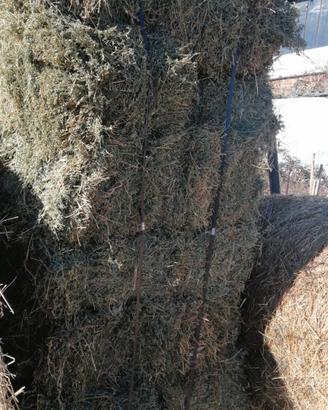 Ballette I taglio su bancali 