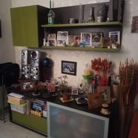 PRATICAMENTE REGALATA A SOLI 290