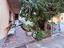 Immagine 5