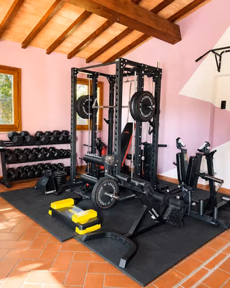 Home Gym Professionale LACERTOSUS Completa