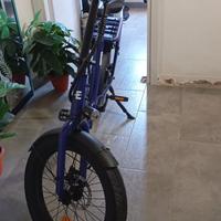 Bicicletta elettrica