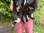 Immagine 4