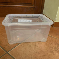 Box trasportini gabbiette terrari