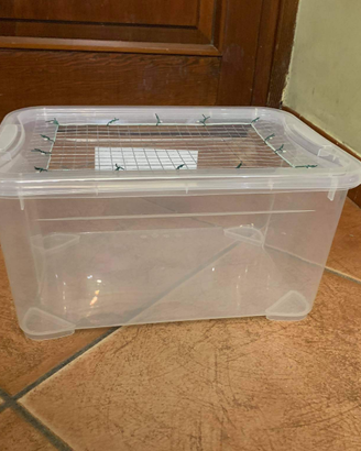 Box trasportini gabbiette terrari