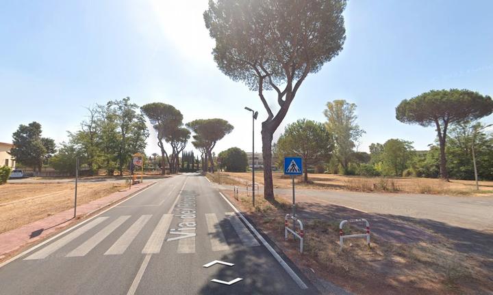 Laurentina Dalmata bilocale con terrazzo privato