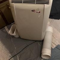 Pinguino condizionatore