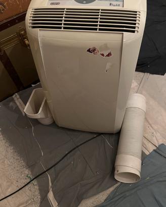 Pinguino condizionatore