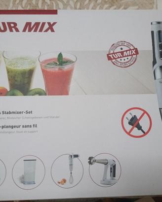 Frullatore ad immersione 