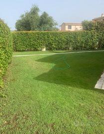 Meravigliosa villa moderna