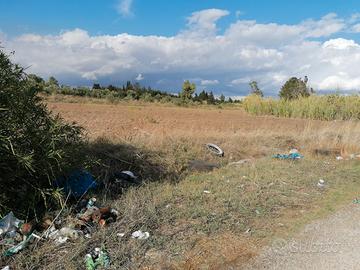 Terreno agricolo
