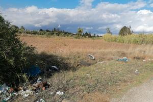Terreno agricolo