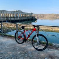 Mountain bike